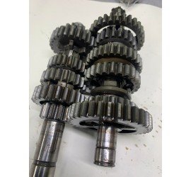 Greičių dėžės dantračiai