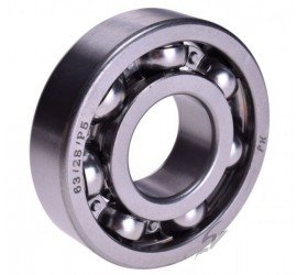 Alkūninio veleno guolis...