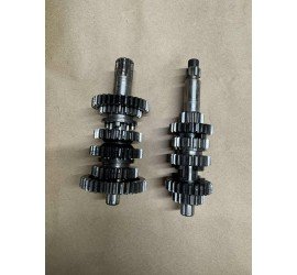 Greičių dėžės dantračiai AM6