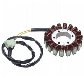 Degimo apvijos Honda CB 600...