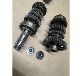 Greičių dėžės dantračiai...