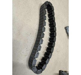 Bendekso veleno grandinė...