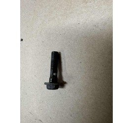 Alyvos varžtas Yamaha XJ600...