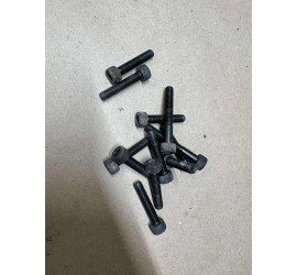 Karterio varžtai Yamaha...