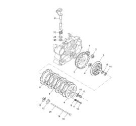 Sankabos ašies šratas Nr. 19