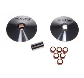 Variatorius kinietiški 2t...