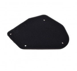 Oro filtro kempinė APRILIA...