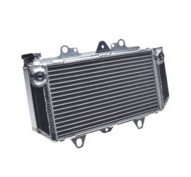 Aušinimo radiatorius YFZ450...