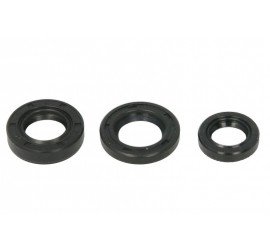 Variklio riebokšlių kompl....