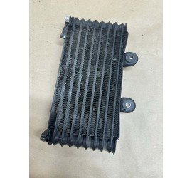 Aušinimo radiatorius...