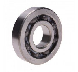 Alkūninio veleno guolis...