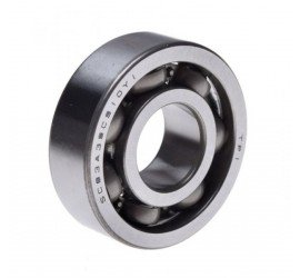 Alkūninio veleno guolis...