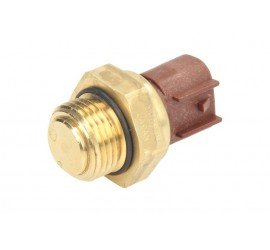 Temperatūros daviklis/...