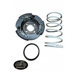 Malossi Fly sankaba Piaggio...