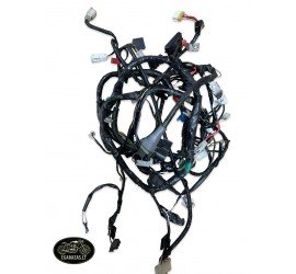 Laidynas Piaggio Typhoon 2019