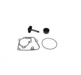 Aušinimo pompos rem. kompl....