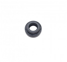 Aušinimo pompos riebokšlis...