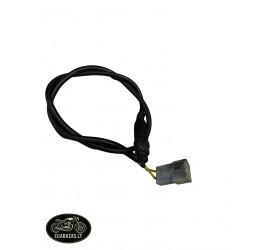 Sankabos rankenos varlė...