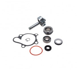 Aušinimo pompos rem. kompl....