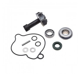 Aušinimo pompos rem. kompl....