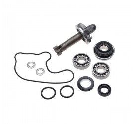 Aušinimo pompos rem. kompl....