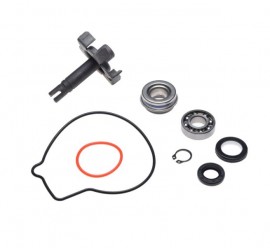 Aušinimo pompos rem. kompl....