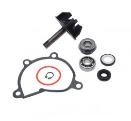 Aušinimo pompos rem. kompl....