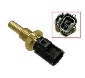 Temperatūros daviklis...