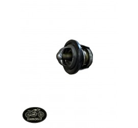 Termostatas Yamaha 125