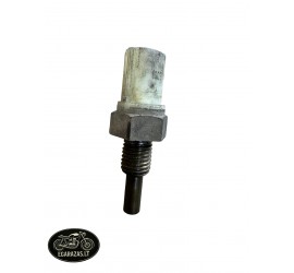 Ttemperatūros daviklis...