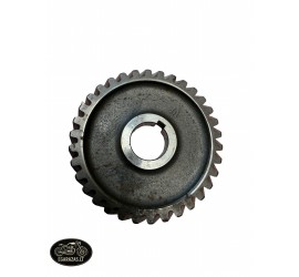 Dantratis AM6 Minarelli 49cc