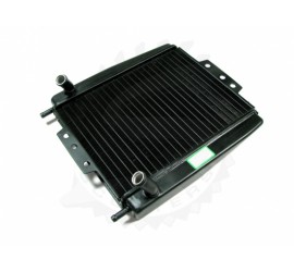 Radiatorius Piaggio MP3 /...